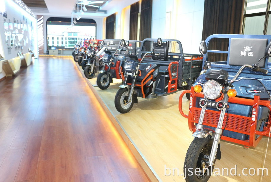 3 Wheel Electric for Cargo
